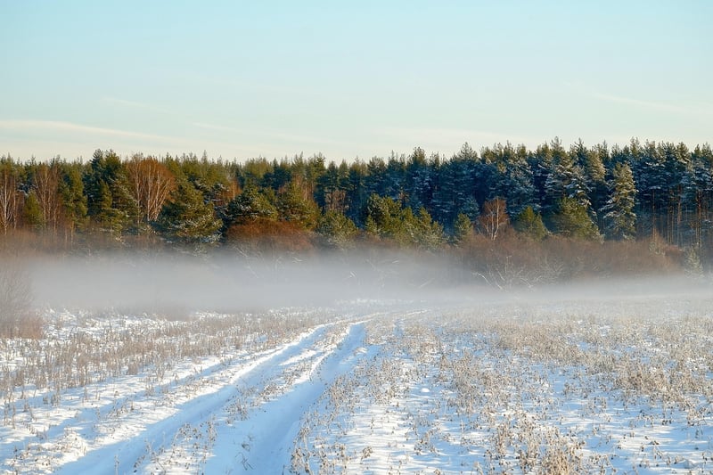 Scenic wilderness view